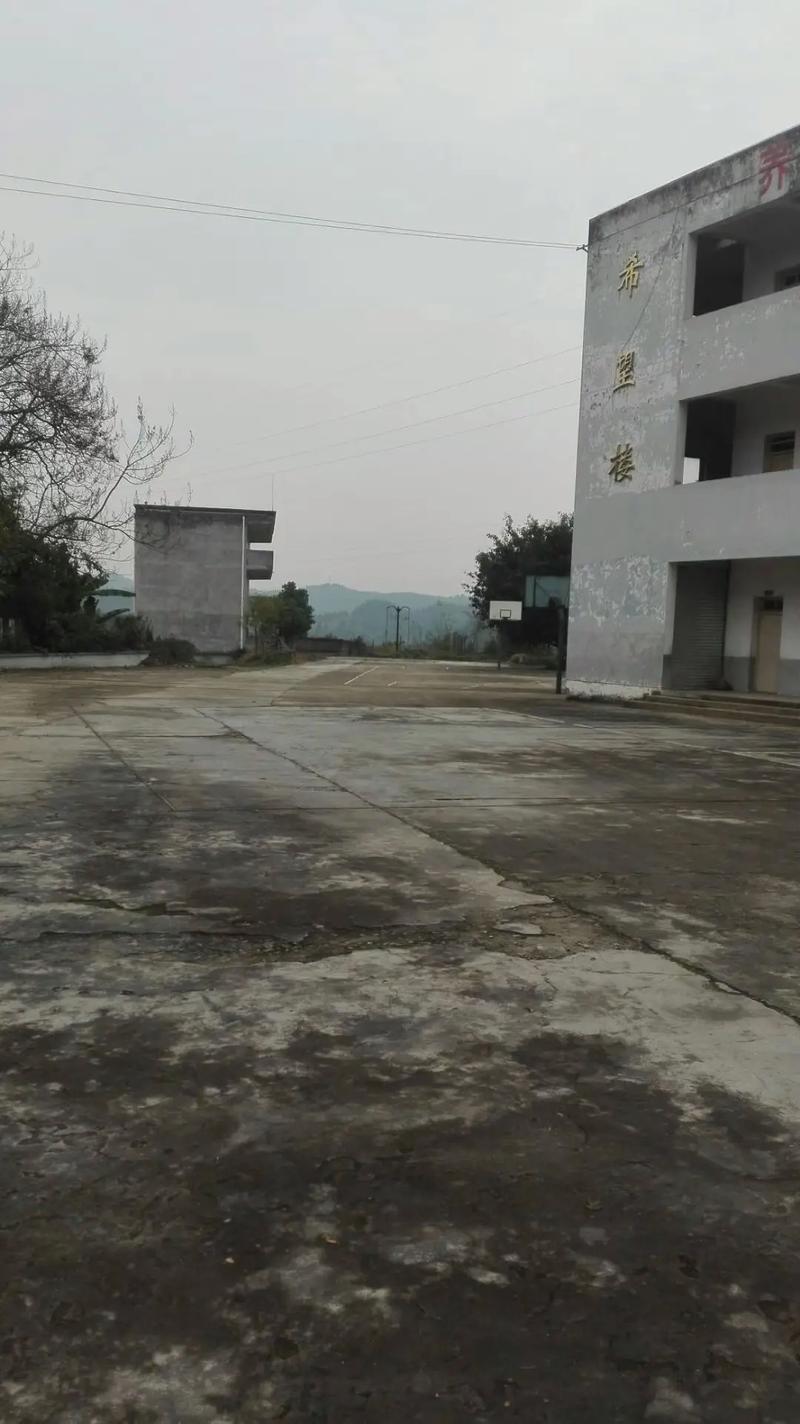 庆星大学热门专业是哪些