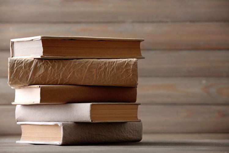 思特雅大学博士学费及生活费用分析