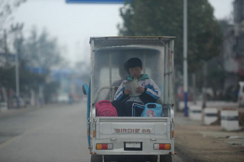科学家发现史前鲜花墓葬