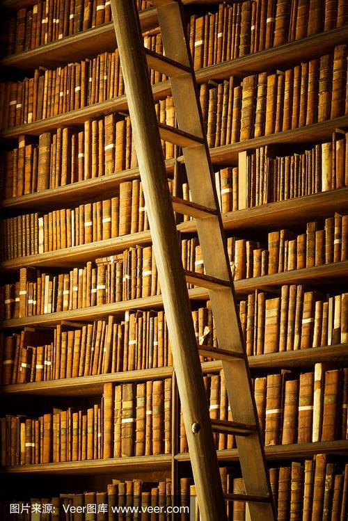 加拿大硕士双录取成功案例