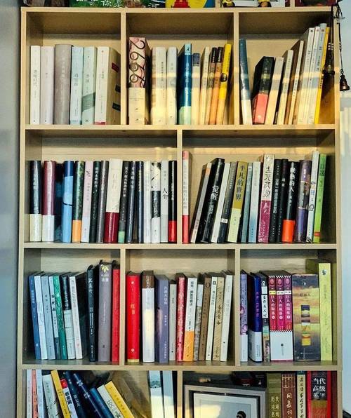 纽约大学提希艺术学院文化与交流