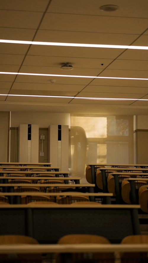 怎样在留学期间合法打工？？