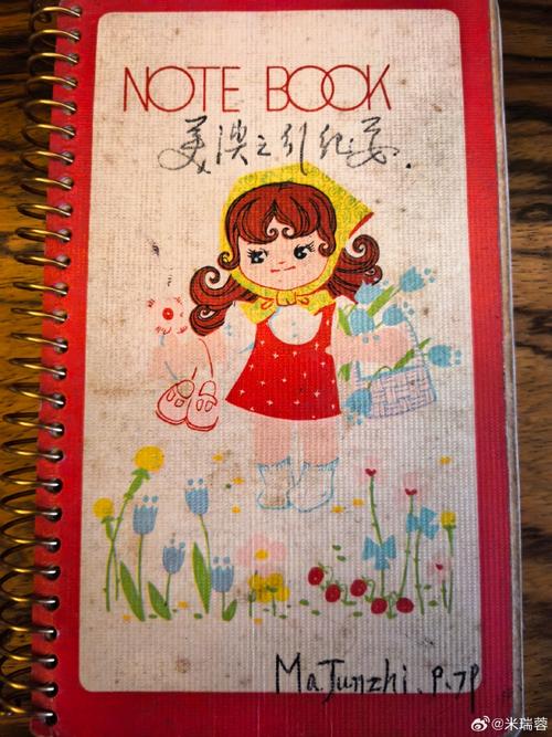 图兰朵计划生出国时间流程