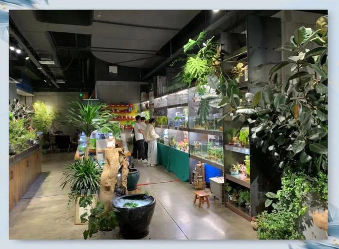 维金斯19中9拿下22分5篮板