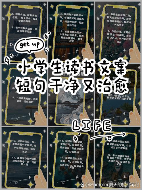 美参议院确认亿万富翁艾萨克曼出任美航天局局长