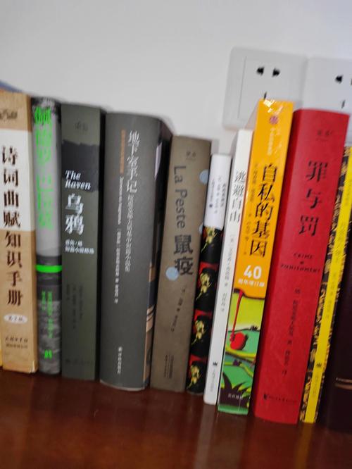 芝加哥大学计算应用数学硕士录取案例！