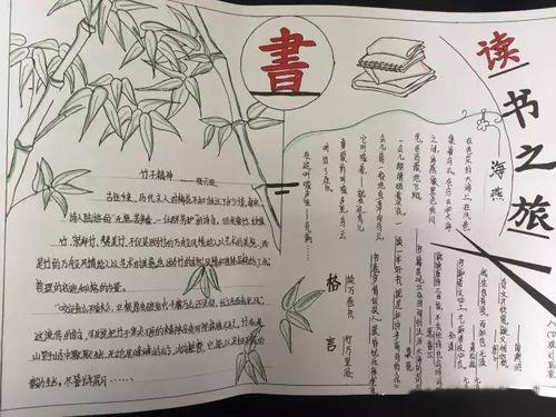美国名校数学专业