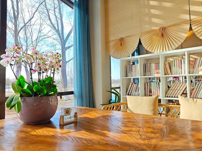 留学送绿卡？新西兰新政潜台词！