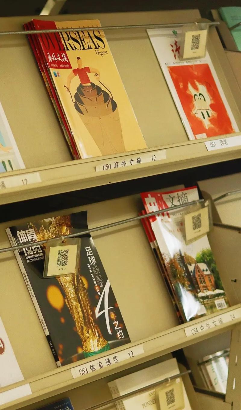 玛丽 科尔文_玛丽科尔文简介