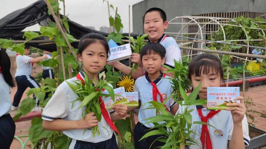 西蒙菲沙大学哪四大院系好？？