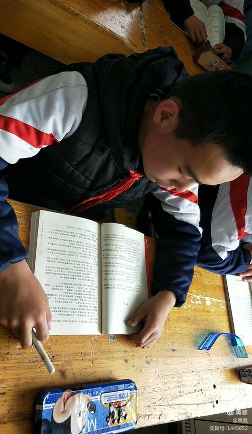 曲婉婷还是中国籍吗曲婉婷国籍到底是什么 曲婉婷还是中国籍吗曲婉婷国籍到底是什么