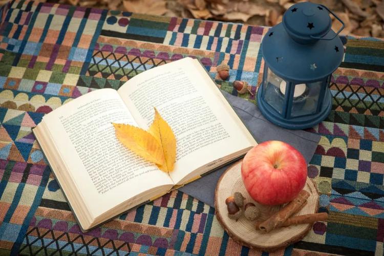 新西兰学校丨ACG陶朗加