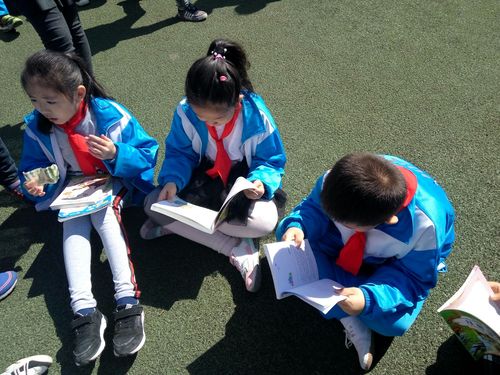 审核要注意的用词