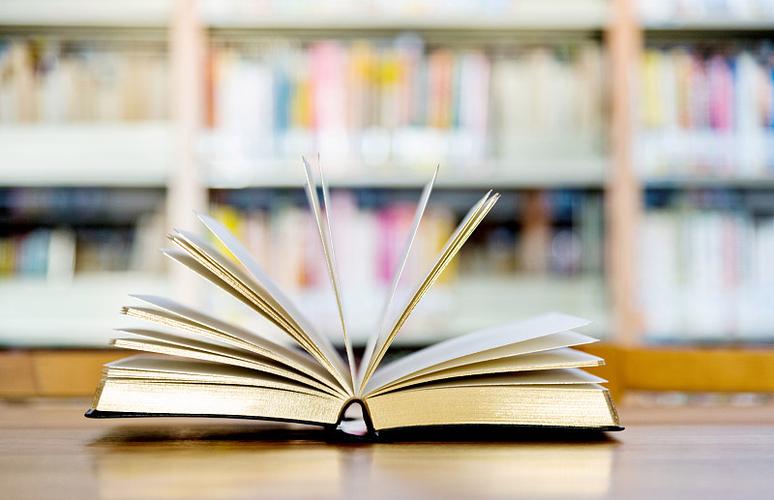 女留学生许_女留学生许婧小说在线阅读