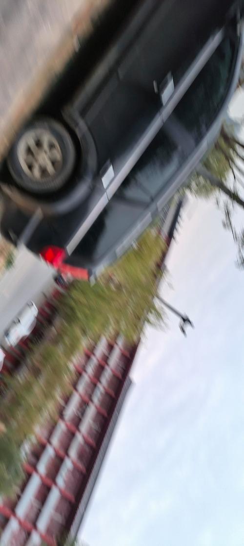 美国教育学的主要研究领域