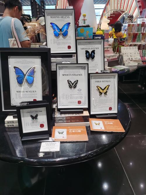 新西兰坎特伯雷理工语言学校,让你半工半读 新西兰坎特伯雷理工语言学校,让你半工半读