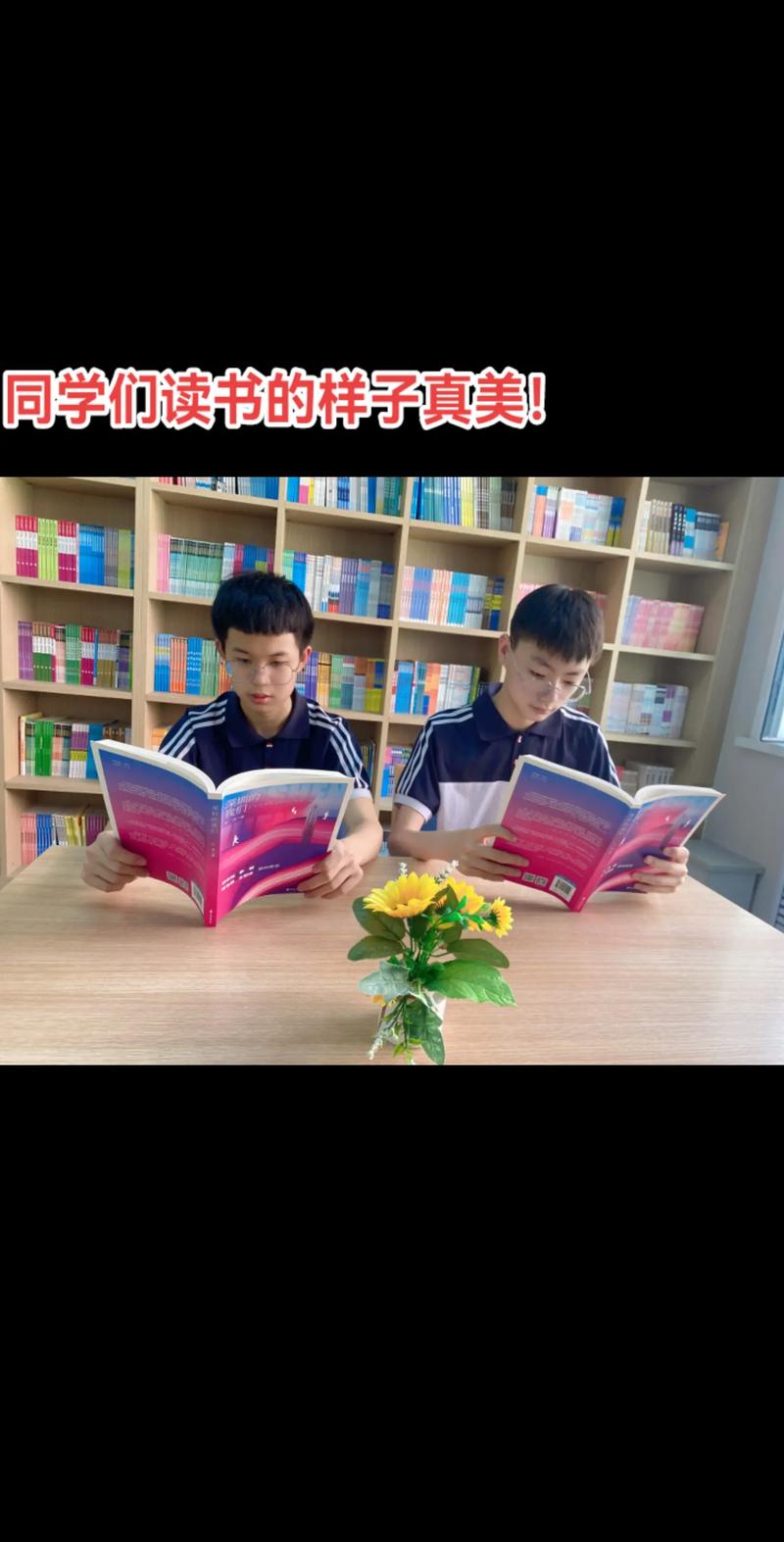 如何加拿大 名校 成功   案例