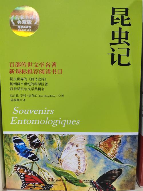 美国留学——艺术管理专业介绍！