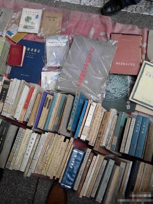 台湾旅游旅游期间注意事项盘点