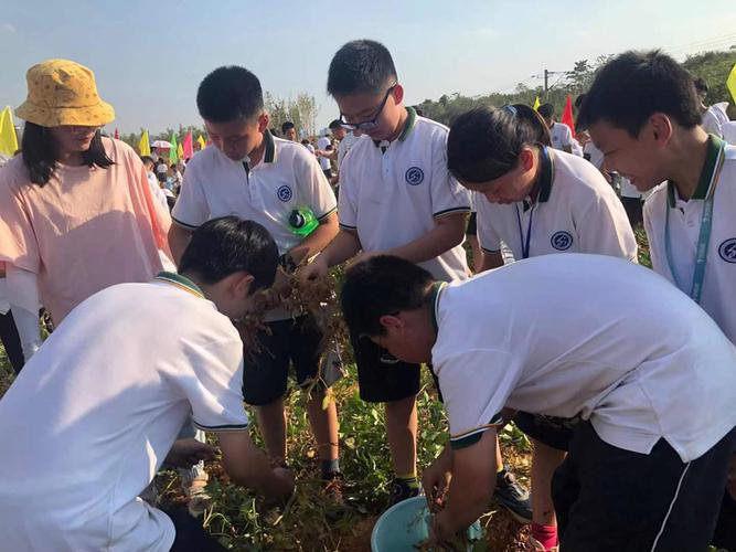 留学英国读钢琴专业怎么选学校？