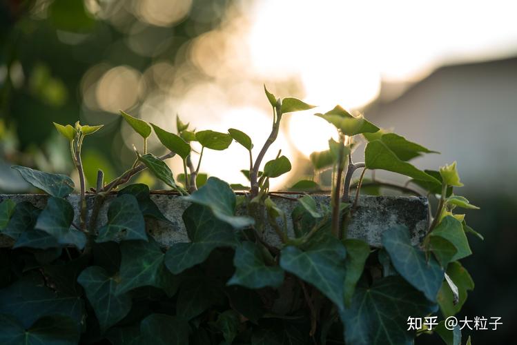 不兼容是什么意思 不兼容是什么意思