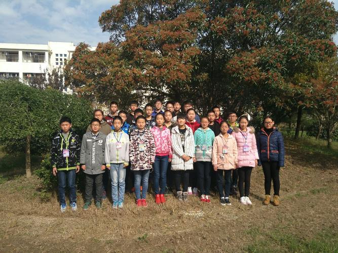 徐筠和王媛可谁漂亮—徐筠漂亮吗