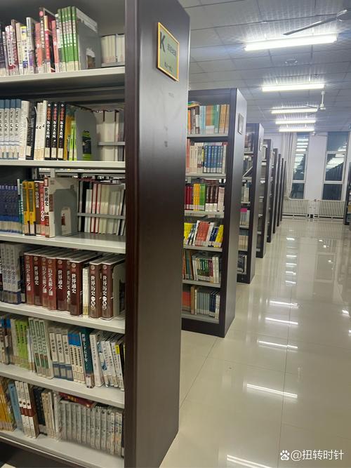 女单陈雨菲个人资料(羽毛球女单冠军陈雨菲是哪里人)