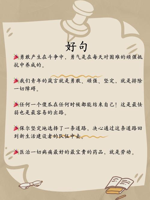 妻子的浪漫旅行第三季霍思燕