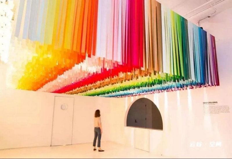 国宝大熊猫为什么吃竹子