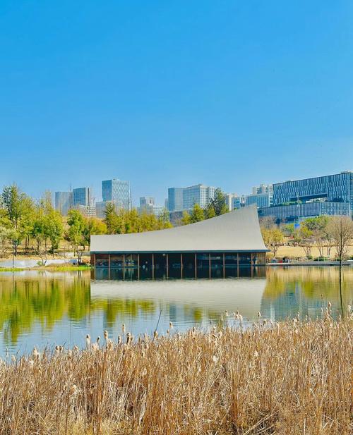 双非学生加拿大留学选校指南