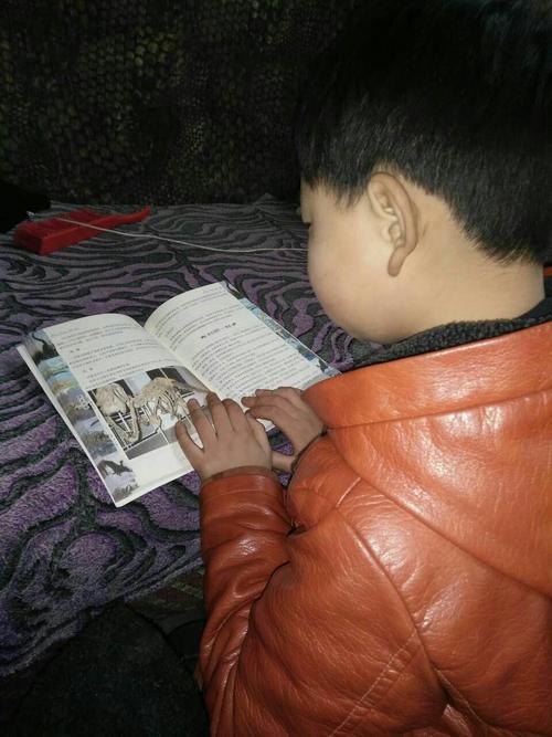 魏延文武双全,他为何没能位列五虎将之一呢? 魏延文武双全,他为何没能位列五虎将之一呢?