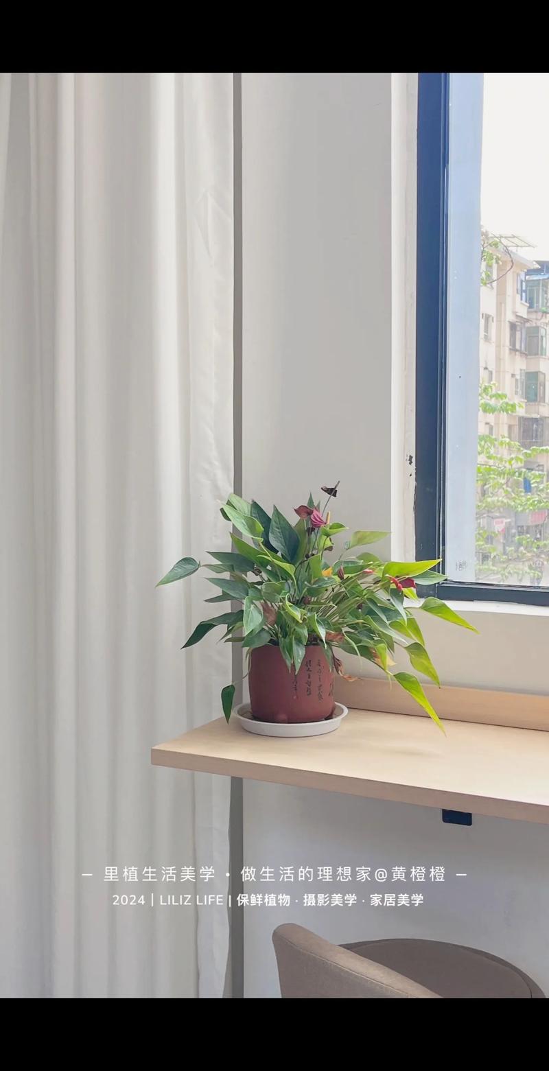 房祖名老婆叫什么名 房祖名怎么样了