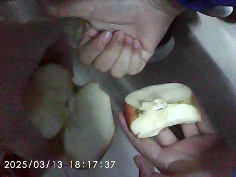 美国电气工程专业EE研究生详解