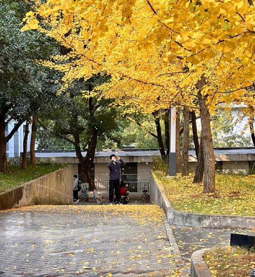 出国留学人数2019年