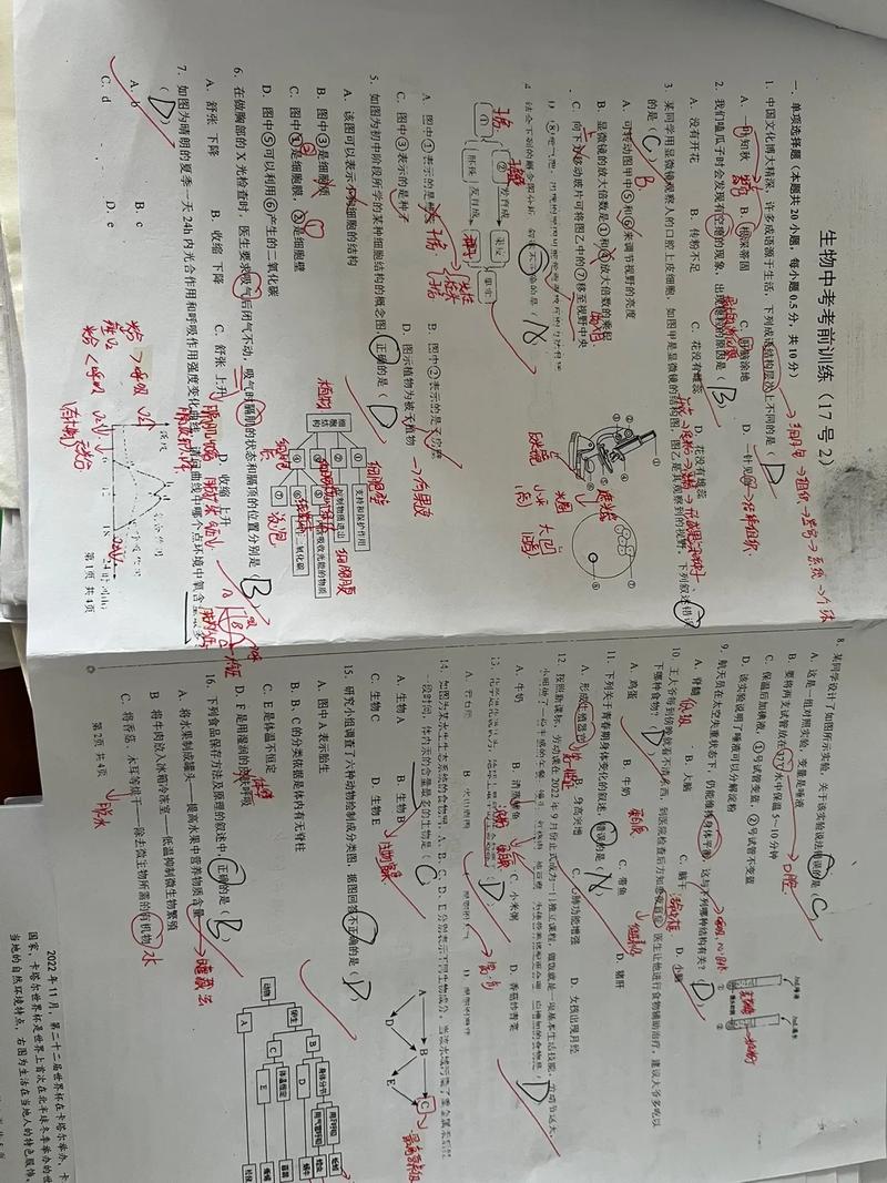 扫盲贴-最齐全的各大国际酒店集团族谱！