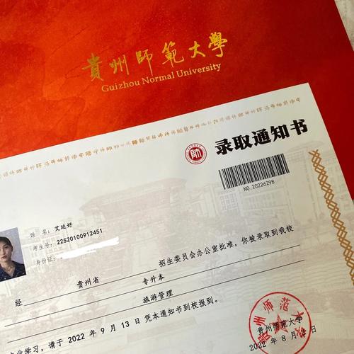 中国高质量发展根深叶茂