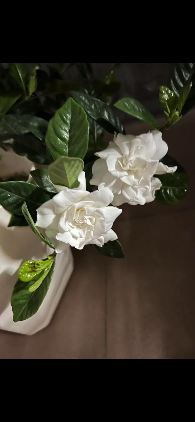 心理专业解析! 心理专业解析!