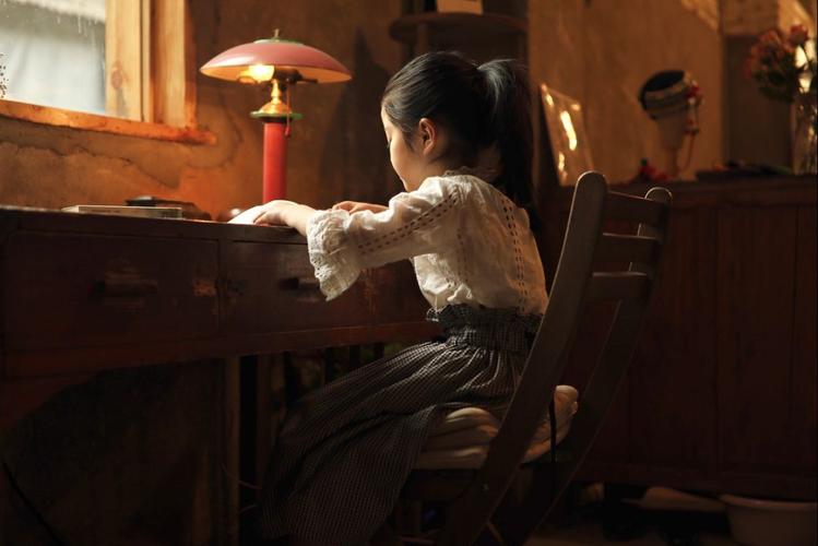 唐国强主演的电视剧解放