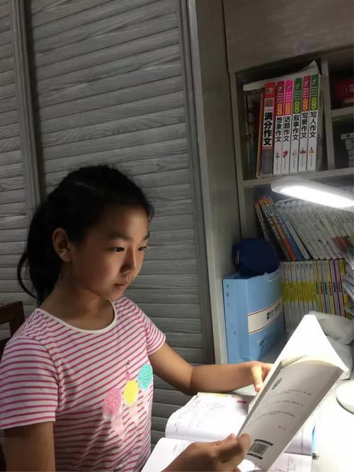 申请去挪威移民的要求