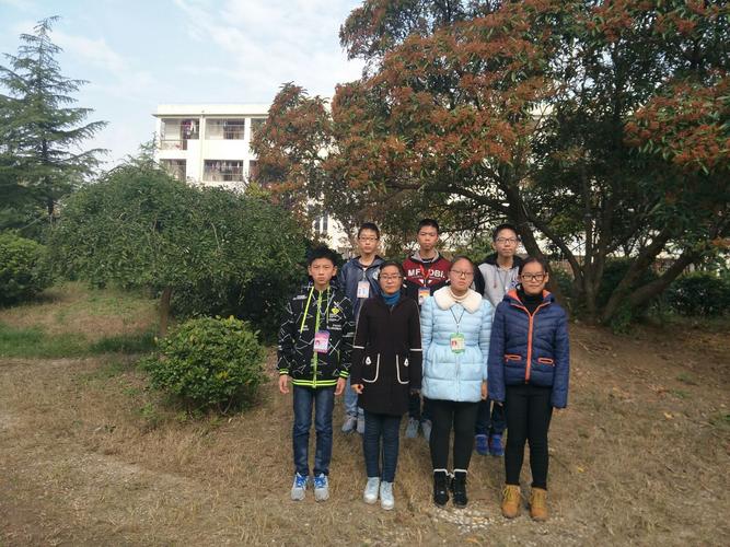 奚美娟娟演的电视剧大全 奚美娟娟演的电视剧大全