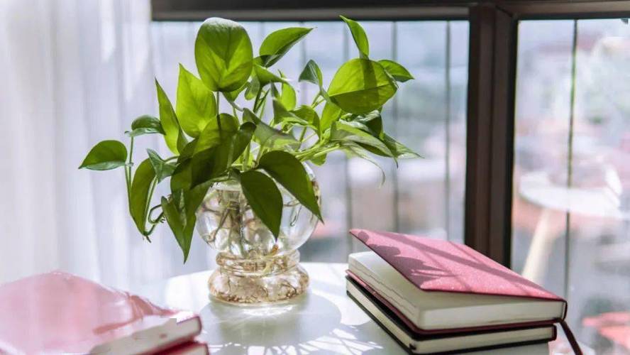 和弟弟去留学跟弟弟出去玩住一间合适吗