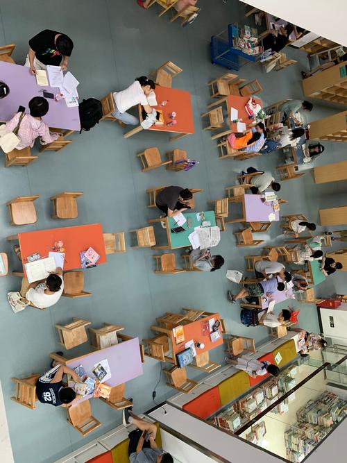 出国留学基金(出国留学基金委车某某犯罪)