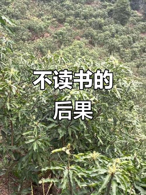 留学就要去 “小哈佛”