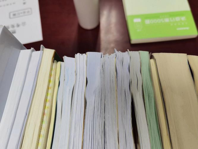 龚翩出国留学-龚蔚个人资料