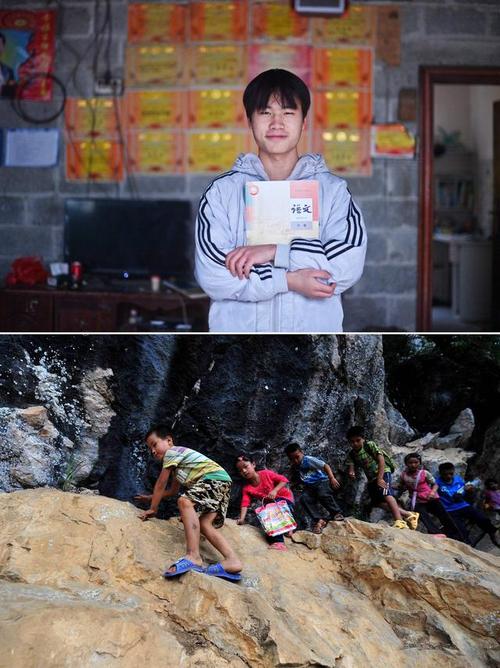 猪蓝耳病猪蓝耳病怎么治才能彻底治愈