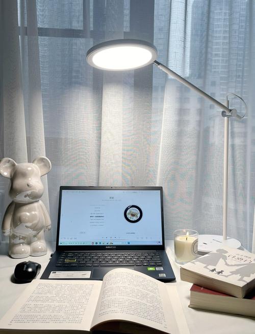 新西兰海外生活之热气球节 新西兰海外生活之热气球节