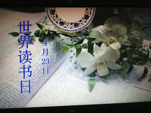 中学课程能否为未来的职业发展做好准备