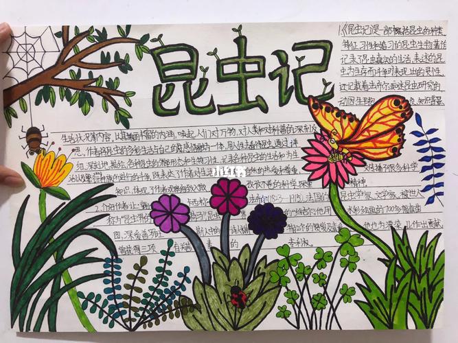 薛佳凝有165吗(薛佳凝年纪)