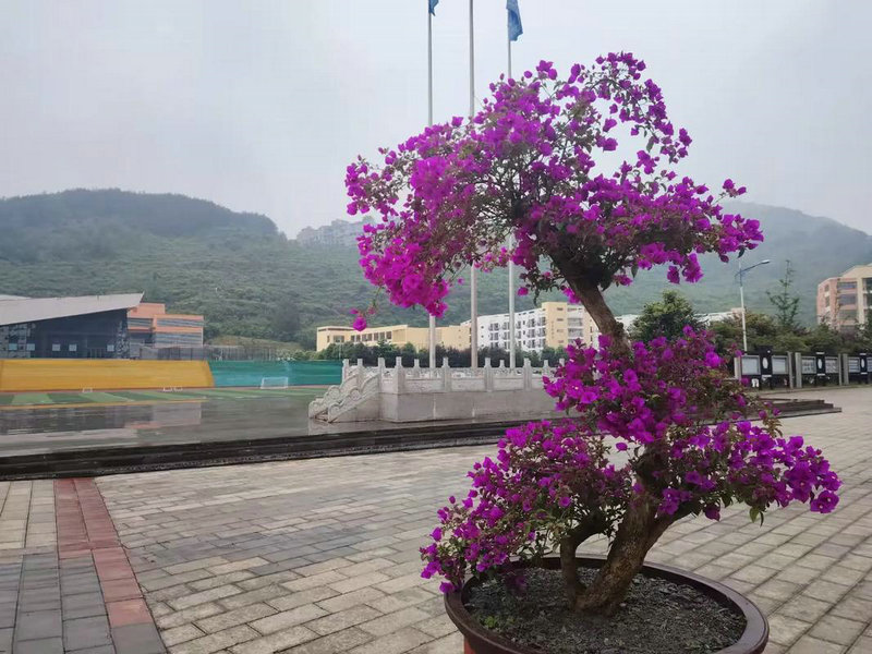 英国TOP大学取要求降低，留美要转向留英